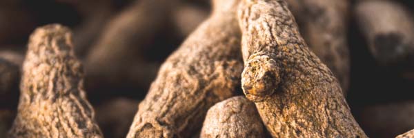 The many health benefits of ginger